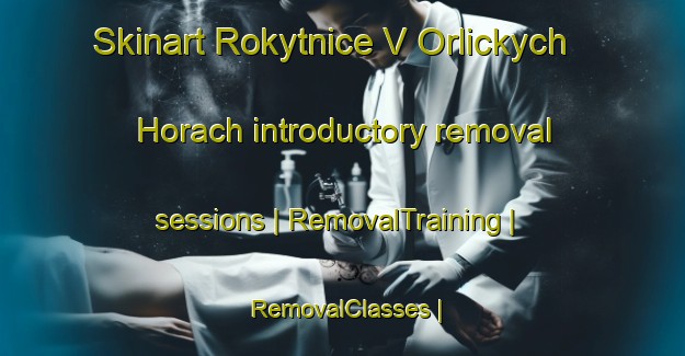 Skinart Rokytnice V Orlickych Horach introductory removal sessions | RemovalTraining | RemovalClasses | SkinartTraining-Czech Republic